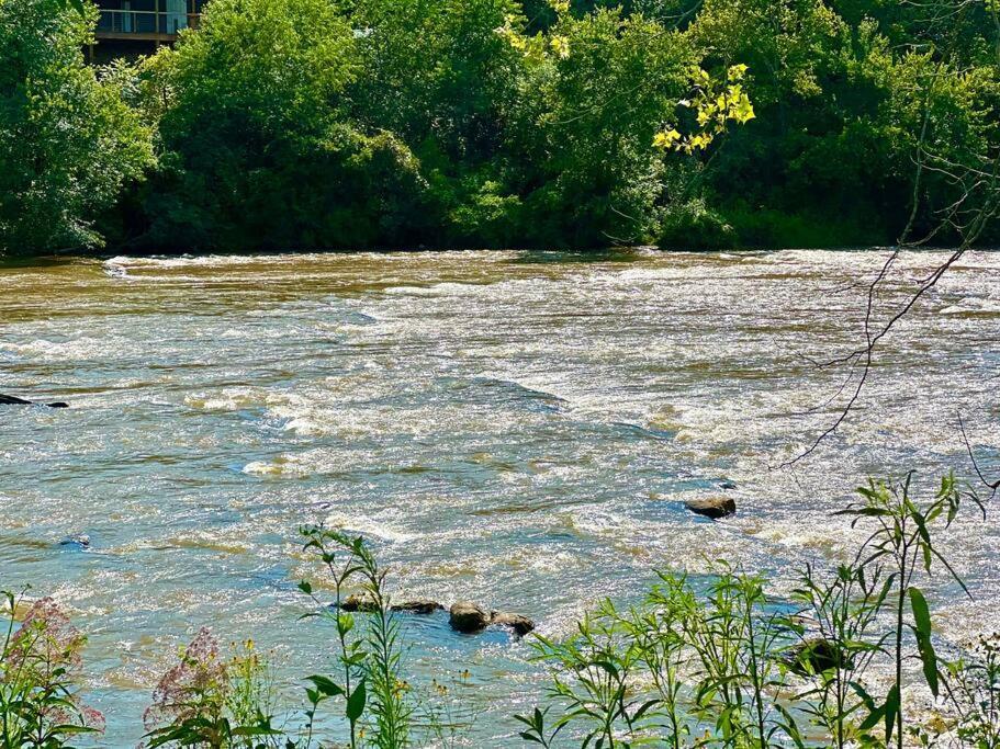 Riverside Relaxer W/Hot Tub+Fire Pit +Wifi & View แฟรงคลิน ภายนอก รูปภาพ